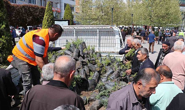 Havza'da bin 500 fidan dağıtıldı