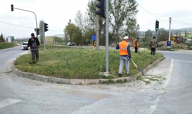 Hisarcık'ta yabani ot biçme çalışması