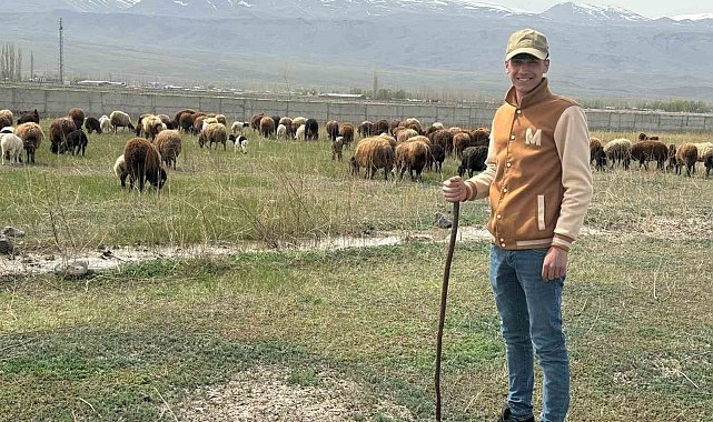 Iğdır'da hayvanlar meraya çıktı
