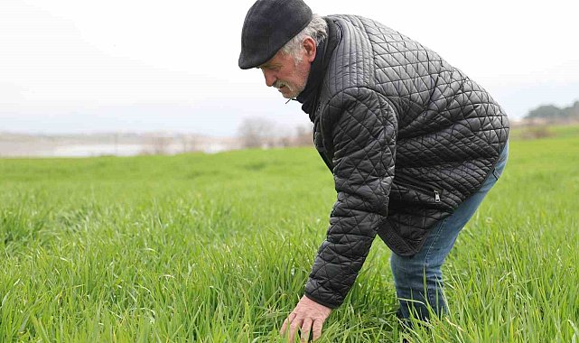 İlkbahar yağışları çiftçilerin yüzünü güldürdü