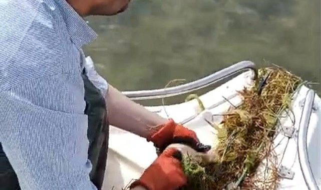 Isparta'da 200 metre uzatma ağı ele geçirildi