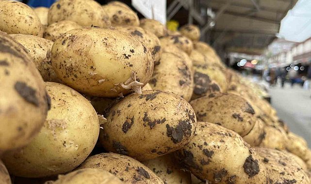 İstanbul&#039;da 33, Bolu&#039;da 15-20 lira