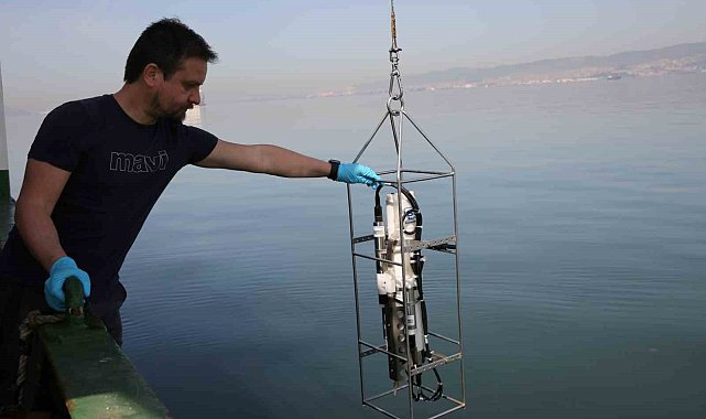 İzmit Körfezi'nde biyoçeşitlilik araştırması sürüyor
