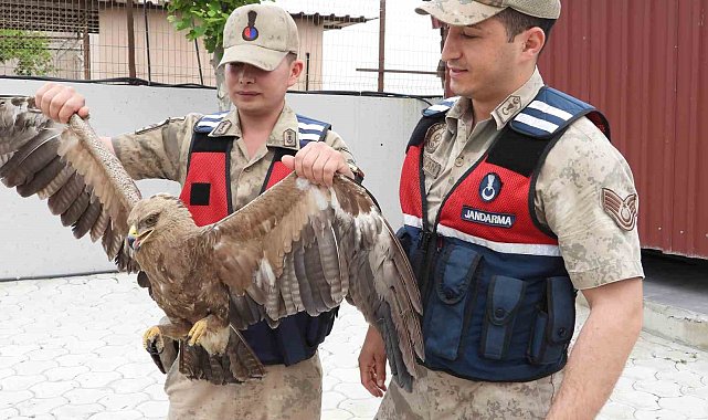 Jandarma ekiplerinden yavru kartala şefkat eli