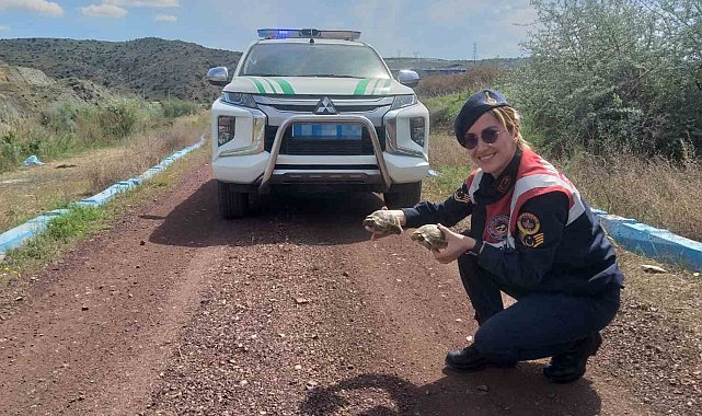 Jandarma ekiplerinin 'kaplumbağa' mesaisi