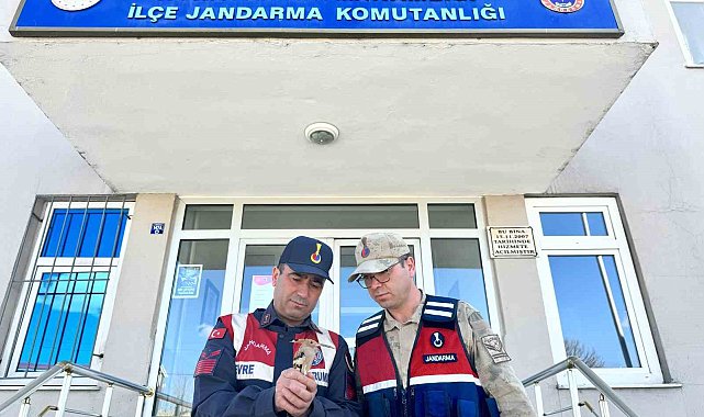 Jandarma yaban kuşlarına sahip çıktı