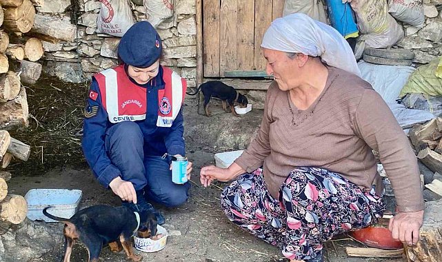 Jandarma'dan sokak hayvanları için 'Bir gün değil, her gün' mesajı