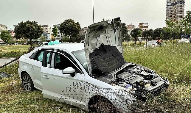 Kartal'da direksiyon hakimiyetini kaybeden sürücü kaldırımdaki ağacı devirerek uçtu