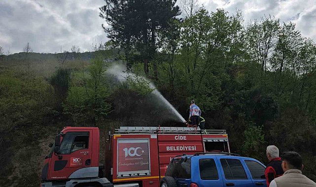 Kastamonu'da korkutan orman yangını: Büyümeden söndürüldü
