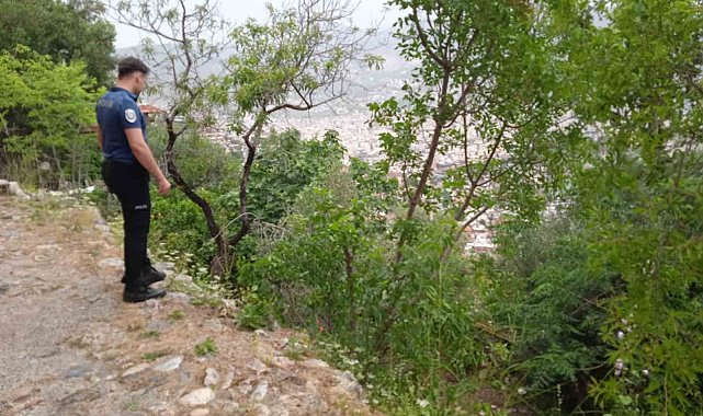 Kekik toplarken yüksekten düşen adam yaralandı