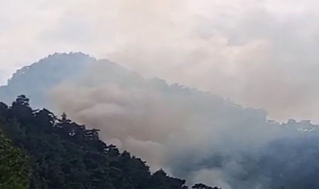 Kemer&#039;de orman yangını
