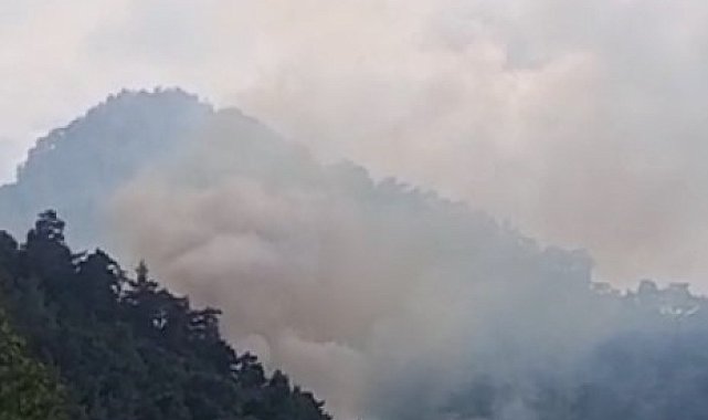Kemer'deki orman yangını kontrol altına alındı