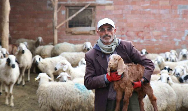 Kendisine oy vermeyen baldızı ve bacanağına şiir yazmıştı, film teklifi aldı