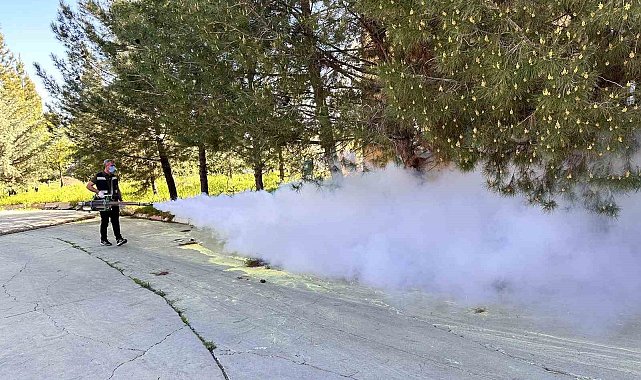 Kent genelinde ilaçlama çalışmaları başladı