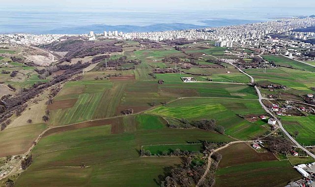 Kentsel Dönüşüm Başkanlığı Samsun'da 314 arsayı satışa çıkarıyor