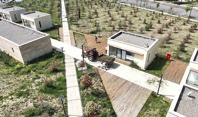 Kılavuzlu Millet Bahçesi bakıma alındı