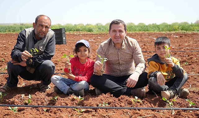 Kilis'te biber fideleri çocukların elleriyle toprakla buluştu