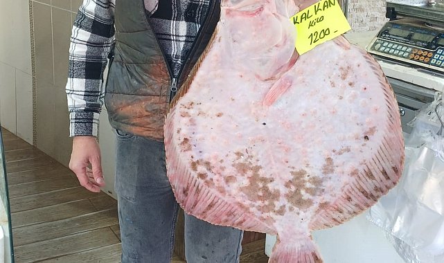 Kilosu bin 200 liradan tezgaha indi, ilgi odağı oldu