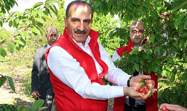 Kiraz ihracatında hedef 250 milyon dolar