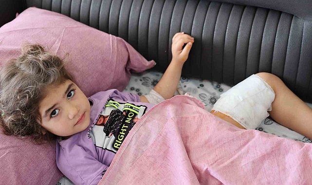 Köpeğin ısırdığı kız çocuğu: "Köpek de sahibi de tutuklansın"