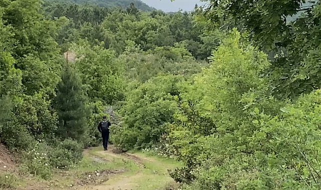 Korhan Berzeg'e ait yeni bulgular dere yatağında aranıyor