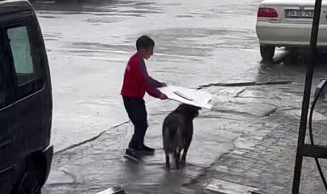 Küçük çocuktan yağmur altında insanlık dersi