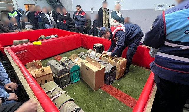 Kumar oynamaktan 41 kişiye 673 bin TL idari para cezası uygulandı