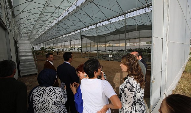 Kumluca MYO'da 17 tropik meyve türü araştırılıyor