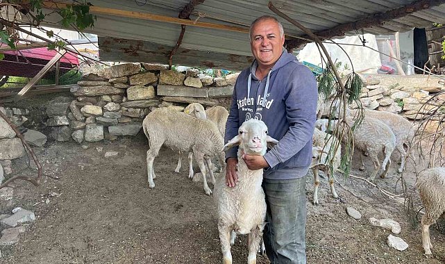 Kurbanlık telaşı erken başladı