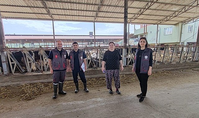 Kuyucak'ta damızlık sığır ithalatı işletmeleri denetlendi