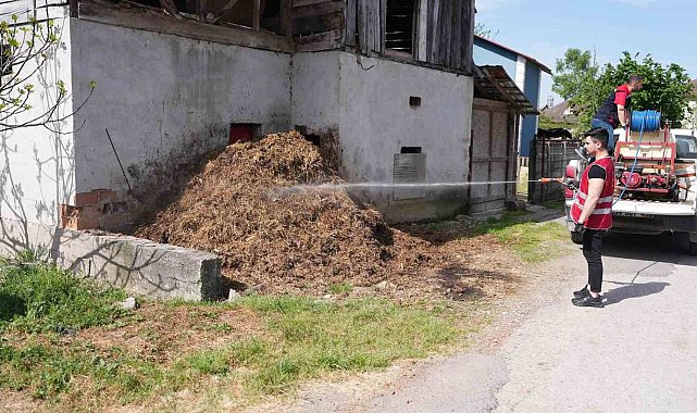 Larva ve sinekle mücadele sürüyor