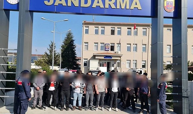 Lüleburgaz'da köpek dövüştüren 34 kişiye operasyon