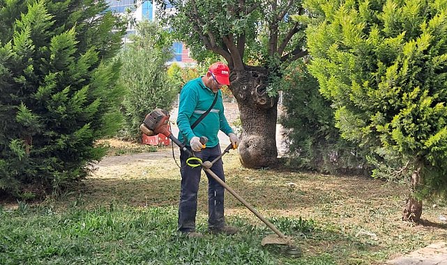 Mahalle sakinlerini istedi, park bahçeler temizlendi