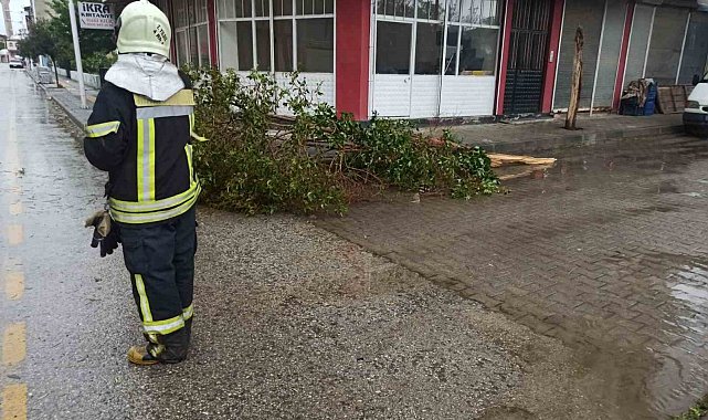 Manisa Büyükşehir ekiplerinden fırtına ve yağış mesaisi