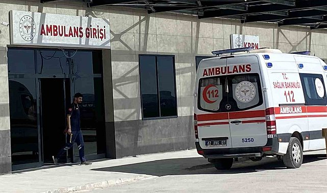 Mantar toplarken düşerek hastanelik oldu