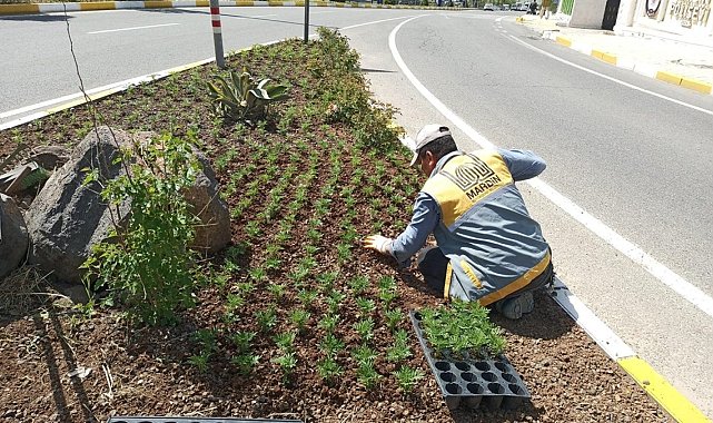 Mardin'de mevsimsel çiçeklendirme çalışmaları sürüyor