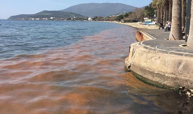 Marmara Denizi alarm veriyor