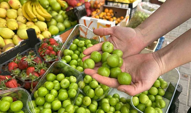 Marmaris'te erik 500 liradan satılıyor