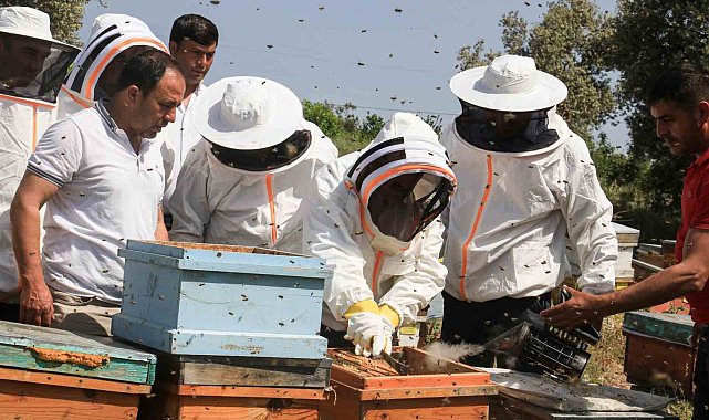Mersin'de 'Narenciye Balı Hasat Şenliği' düzenlendi