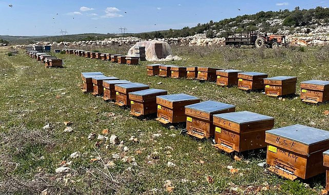 Mersin'de arıcılara 4 milyon 200 bin TL destek sağlandı