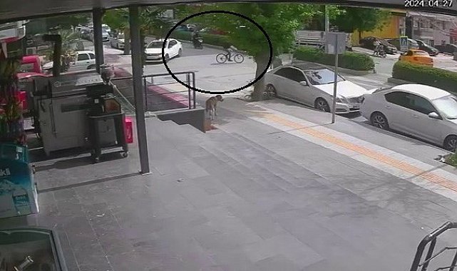 Motosiklet ve bisiklet çarpıştı: 3 yaralı