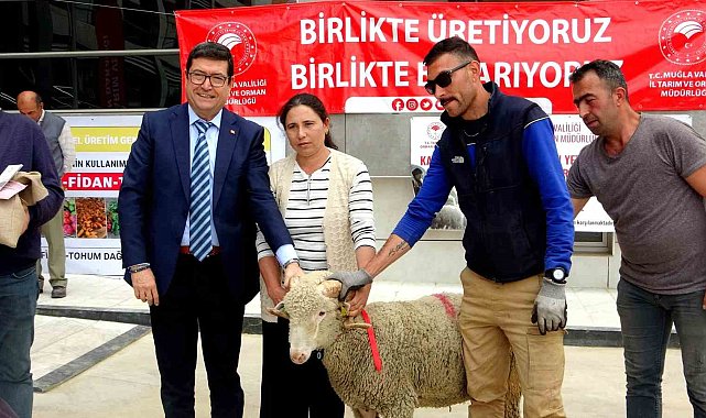 Muğla'da 75 adet koç ve 625 kilogram yerfıstığı üreticilere dağıtıldı