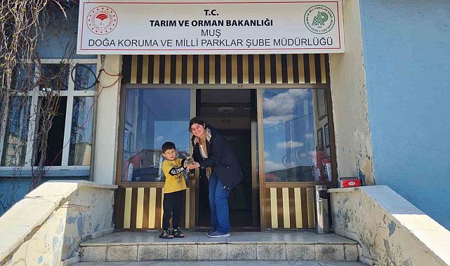 Muşlu çocuk bulduğu yavru kulaklı baykuşun hayatını kurtardı