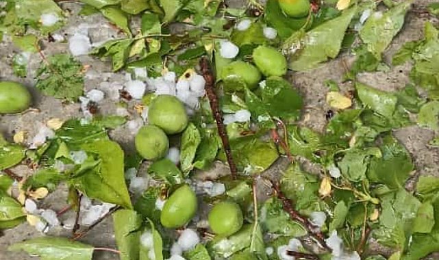 Nevşehir çevresinde dolu yağışı etkili oldu