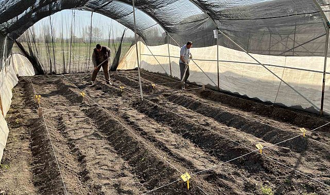 Niğde Patates Araştırma Enstitüsünde GPT ekimine başlandı