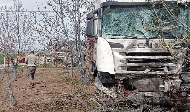 Niğde&#039;de yoldan çıkan tır bahçeye daldı