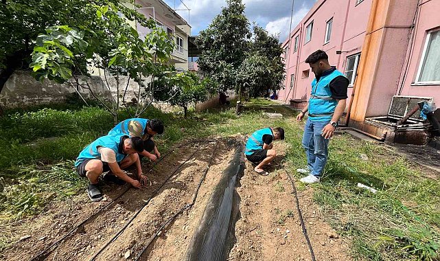 Öğrenciler yurt bahçesine sebze fidesi dikti