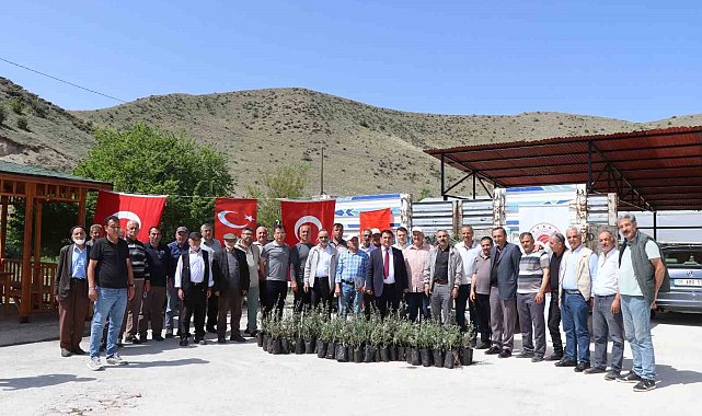 Oltu&#039;da çiftçiye 1300 zeytin fidanı