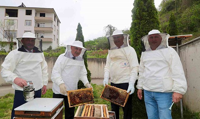 Ordu'da ana arı yetiştiriciliği yaygınlaşıyor