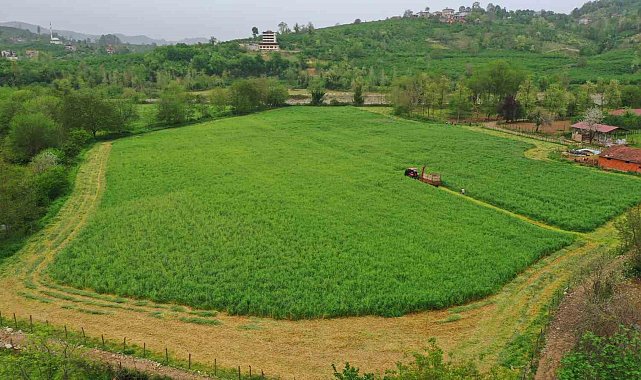 Ordu&#039;da Büyükşehrin tarım makineleri çalışıyor